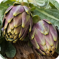Artichoke Leaf (as Bilear®)