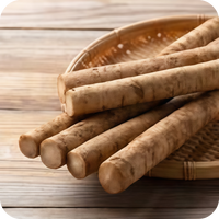 Burdock Root